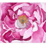 Painting of a bright pink poeny flower by Emma Sneep