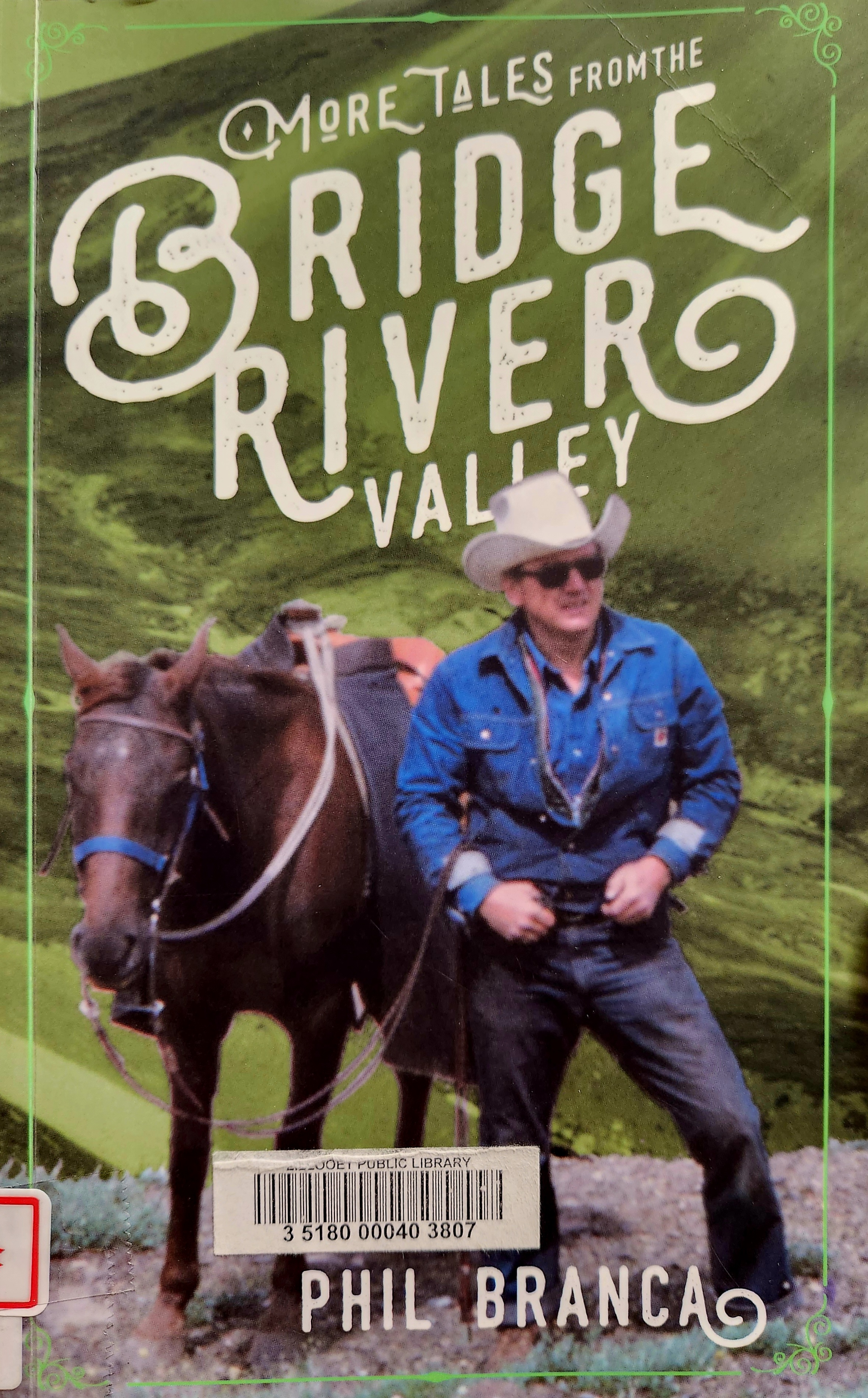 Book cover bridge river valley