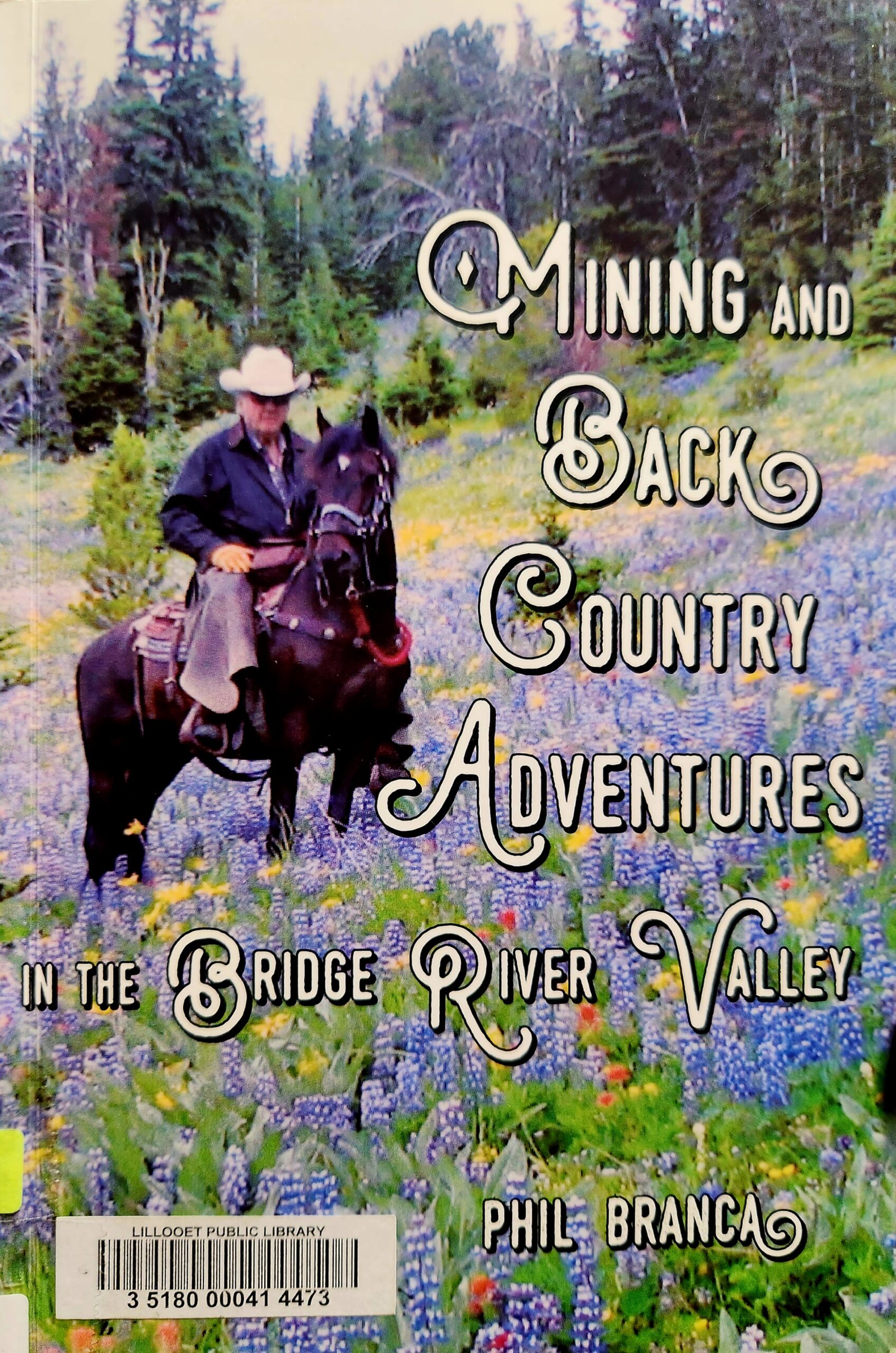 Book cover mining and back country adventures